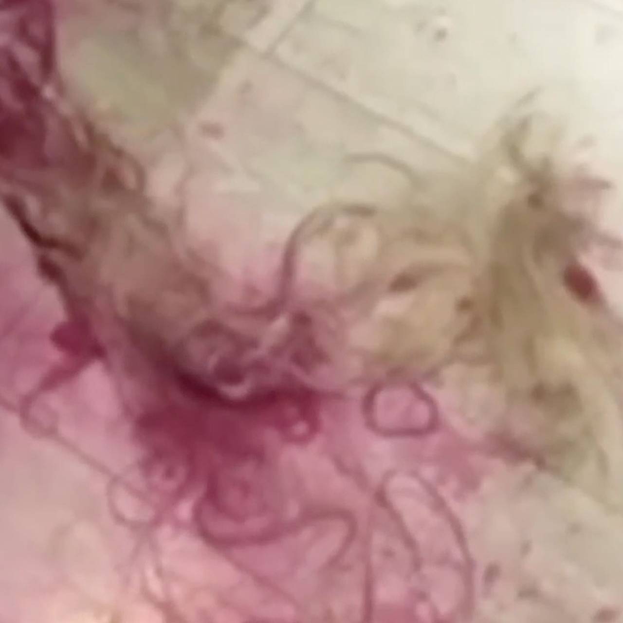 Кадр: Telegram-канал BAZA