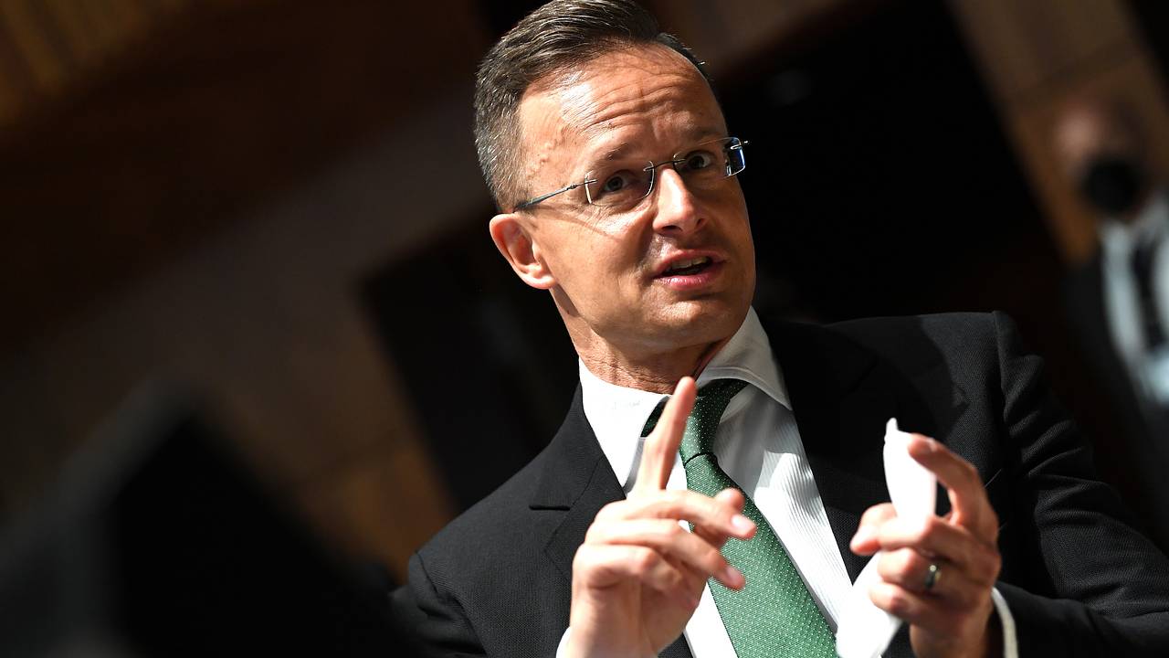 В Венгрии раскритиковали переговоры о вступлении Украины в ЕС: Политика:  Мир: Lenta.ru