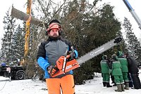 «В лесу дорого брать, они из домов забирают» Как российские чиновники спиливают елки россиян перед Новым годом? 