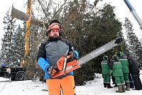 «В лесу дорого брать, они из домов забирают» Как российские чиновники спиливают елки россиян перед Новым годом? 