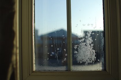 Назван дешевый способ уменьшить количество конденсата на окнах зимой