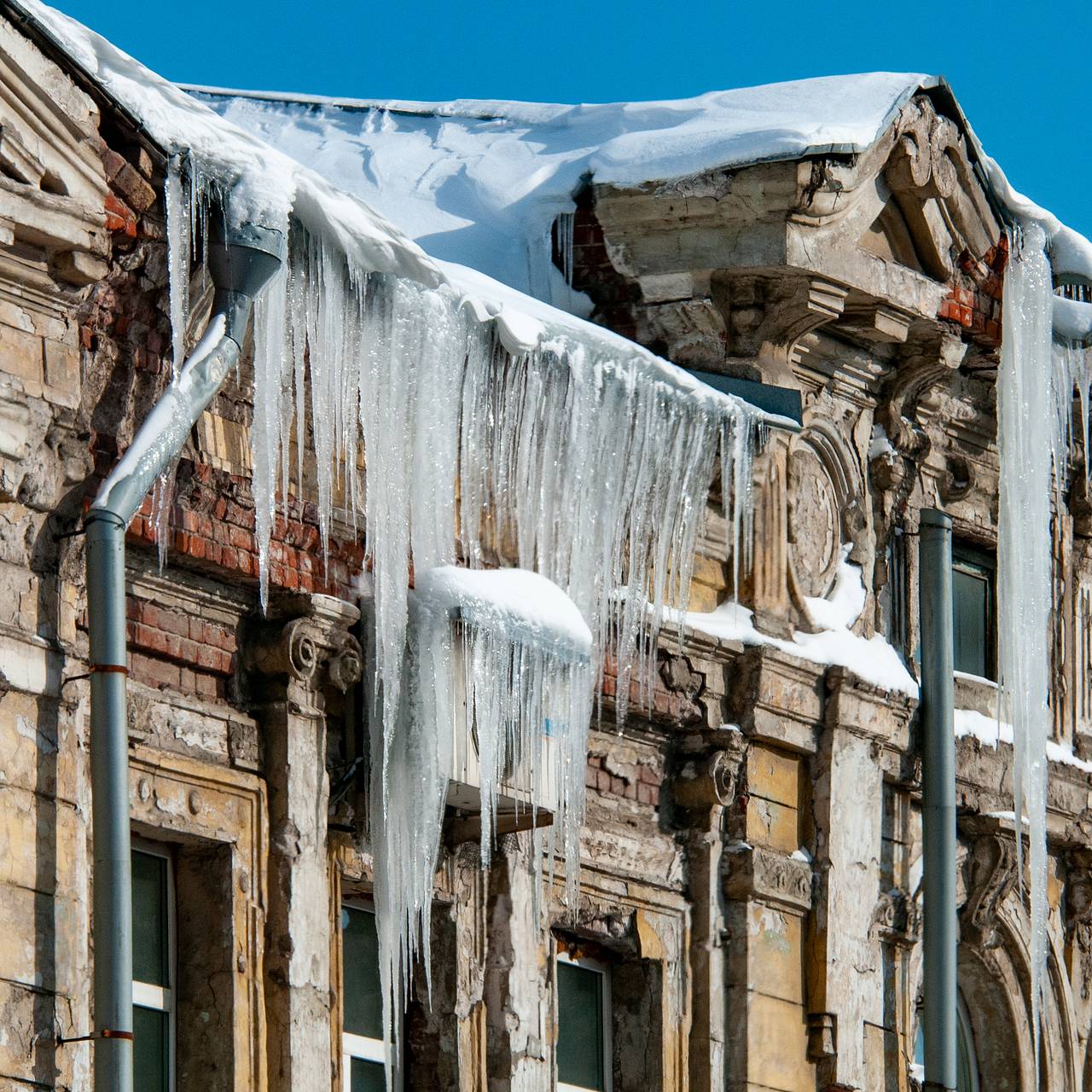 В Петербурге найдена «царица-сосуля»: Город: Среда обитания: Lenta.ru