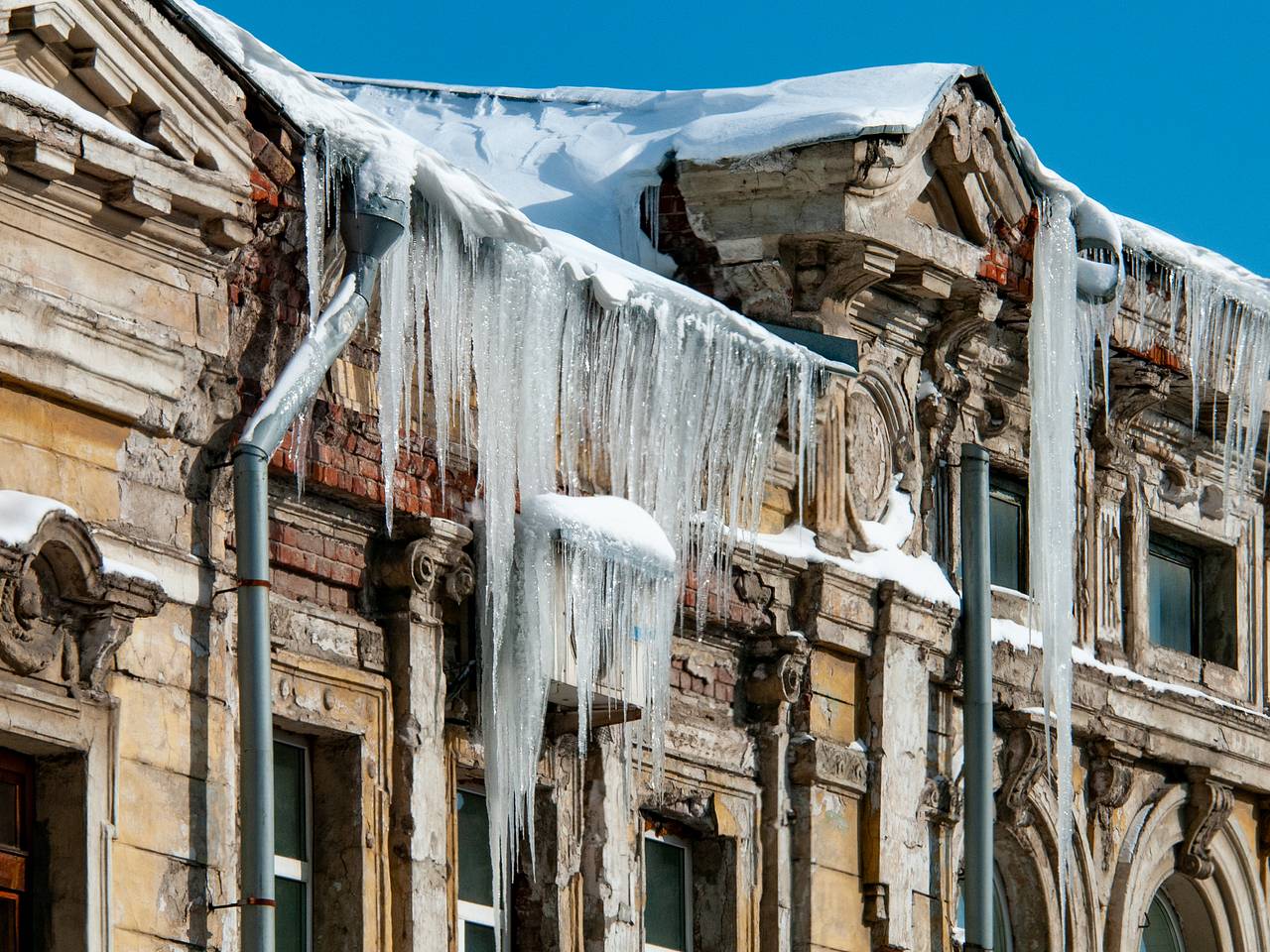 В Петербурге найдена «царица-сосуля»: Город: Среда обитания: Lenta.ru