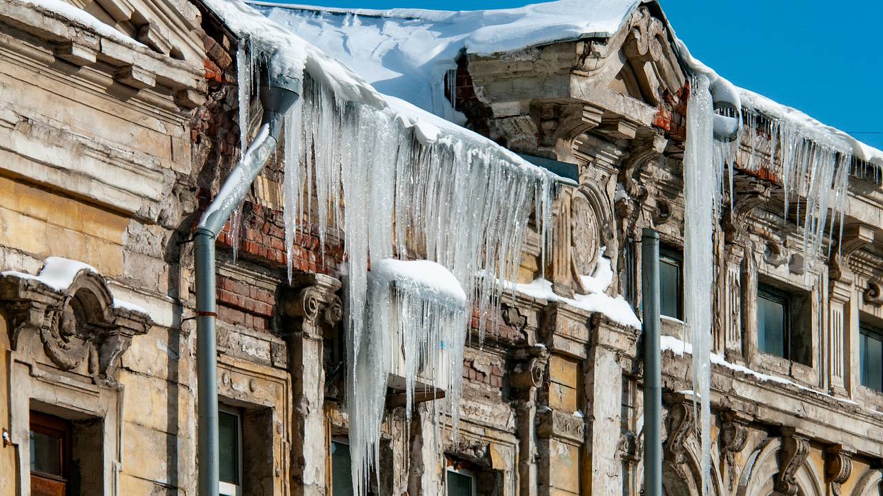 В Петербурге найдена «царица-сосуля»: Город: Среда обитания: Lenta.ru