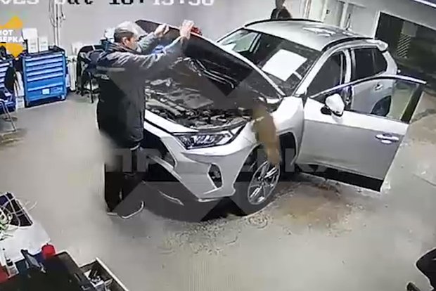 Вводная картинка