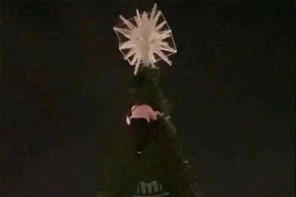 Пьяная жительница российского города залезла на елку и попала на видео