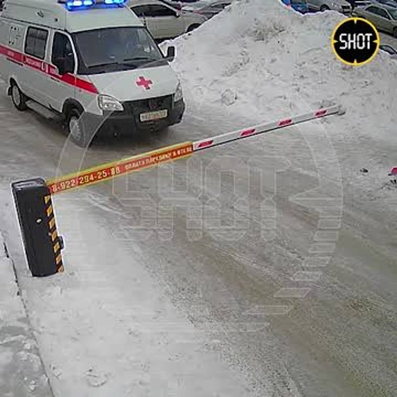 Ехавшей спасать 14-летнего боксера скорой пришлось стоять у закрытого  шлагбаума: Общество: Россия: Lenta.ru