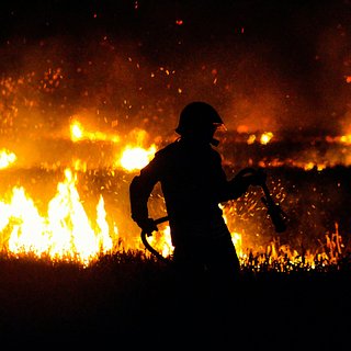 Обнаружено усиление лесных пожаров