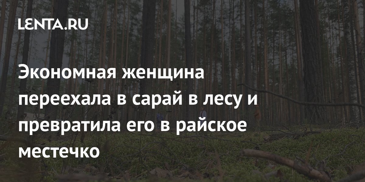 «В лесу родилась ёлочка, в лесу она росла…»