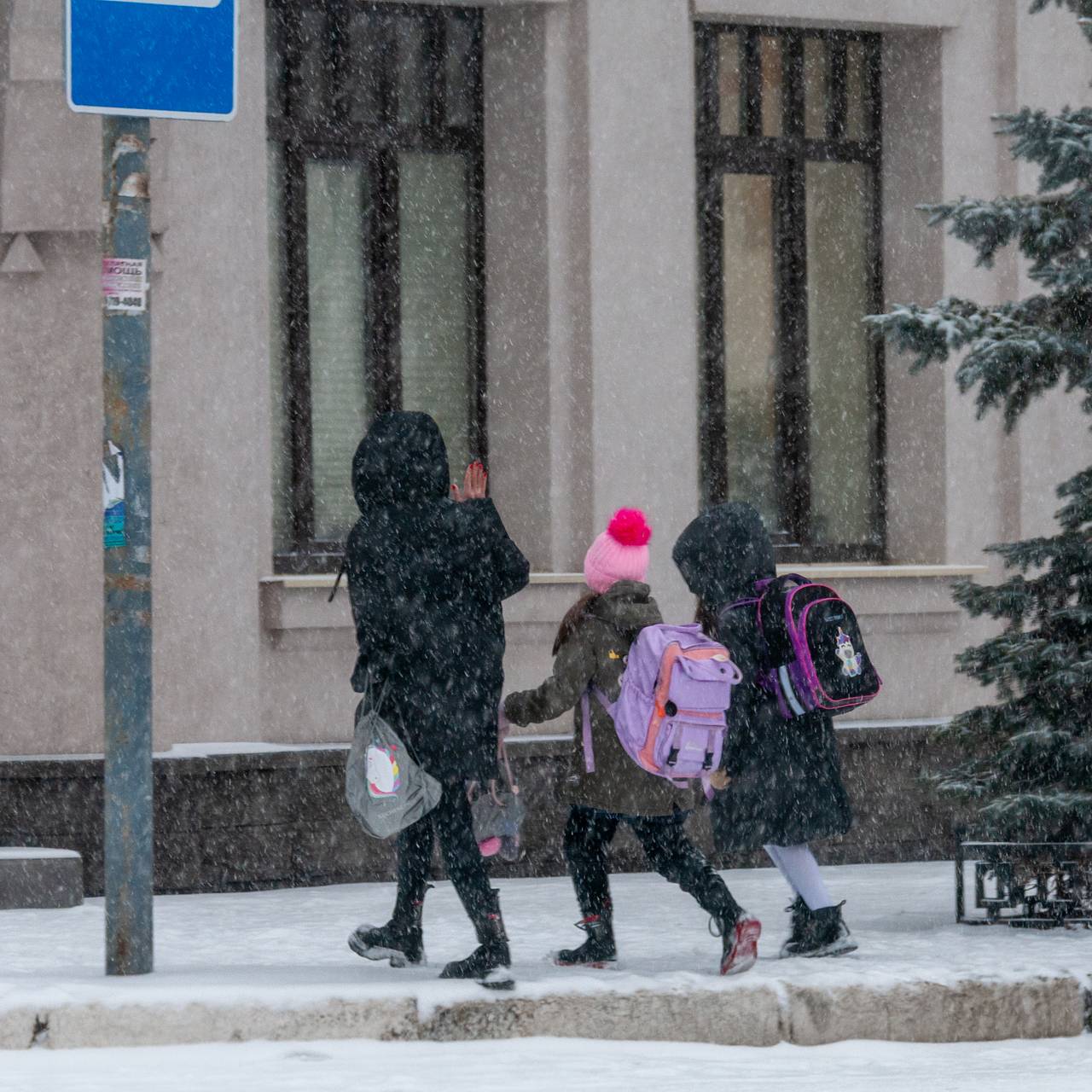 В Москве школьникам захотели проводить уроки на крыше: Дом: Среда обитания:  Lenta.ru