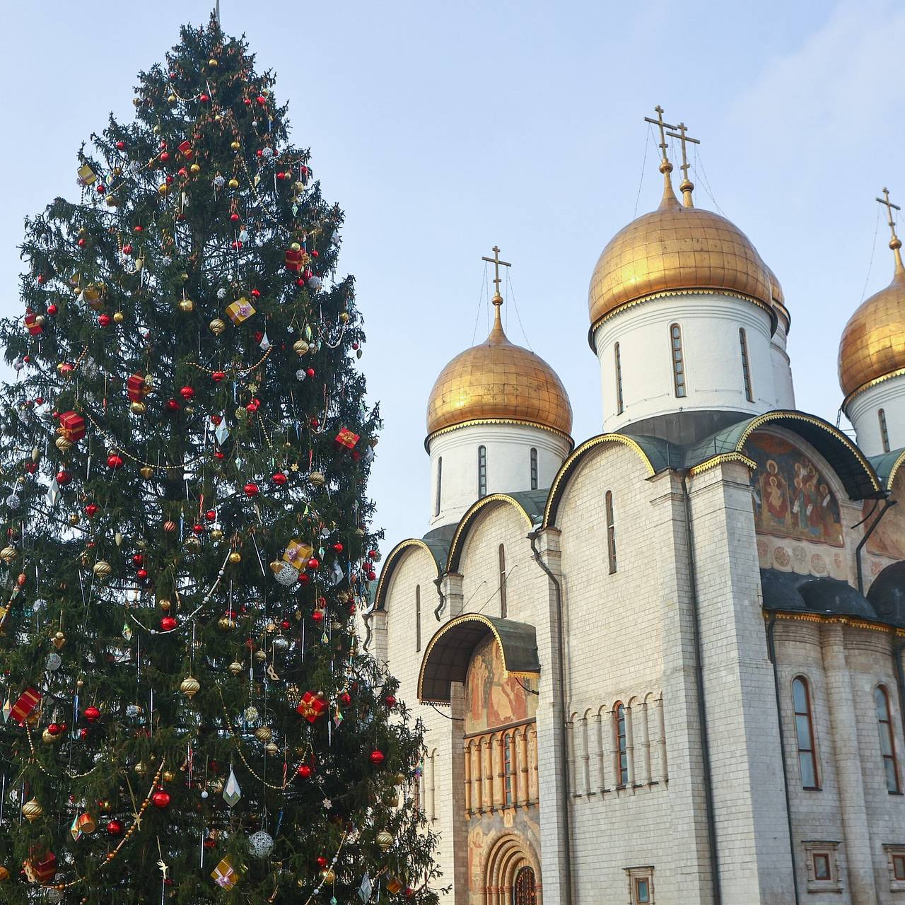 Новогодняя композиция из еловых веток