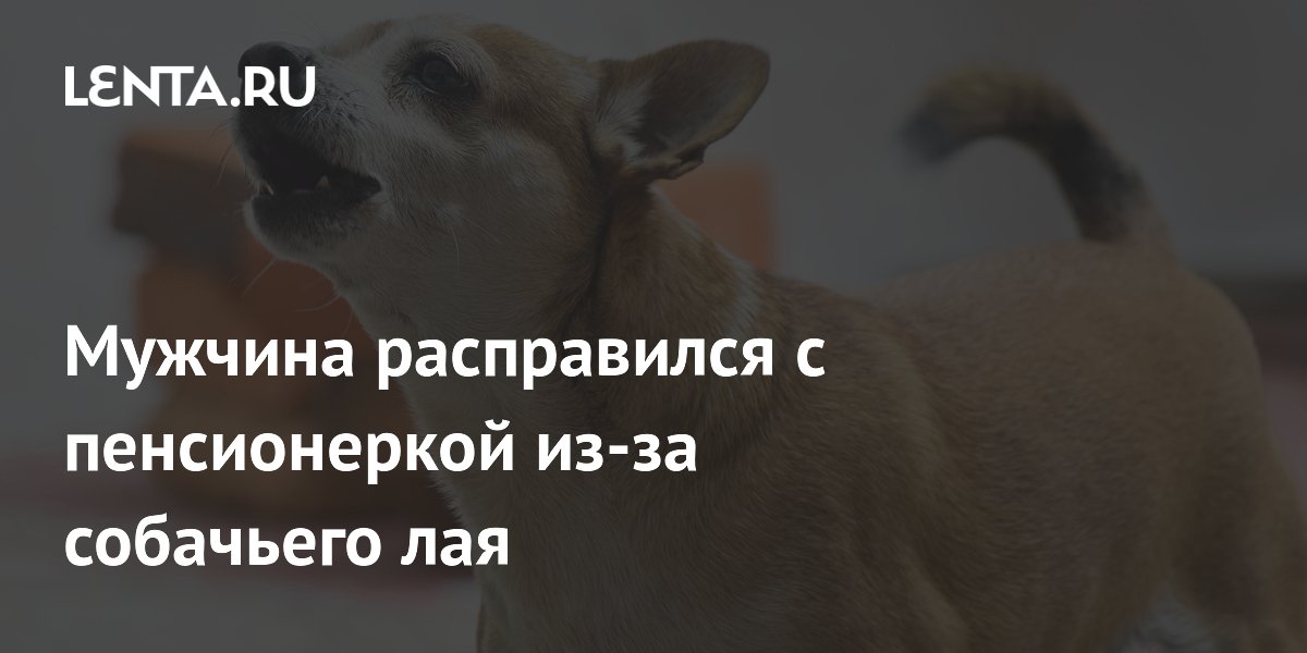 Мужчина расправился с пенсионеркой из-за собачьего лая: Люди: Из жизни ...