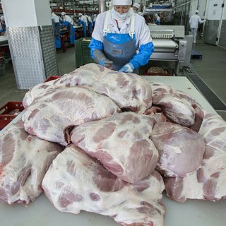 Названы сроки начала поставок свинины из России в Китай