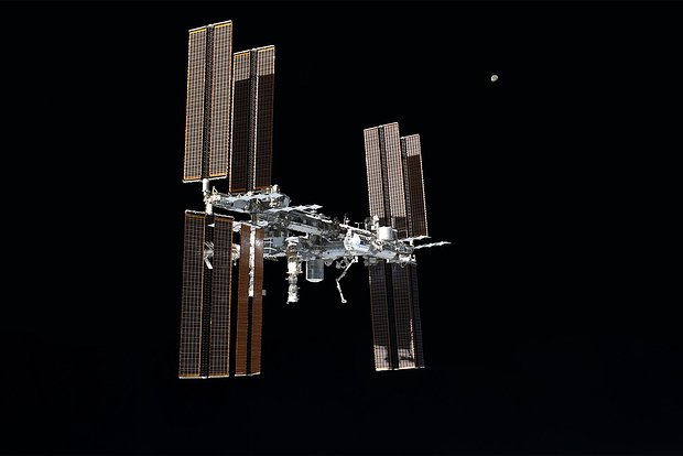 Вводная картинка