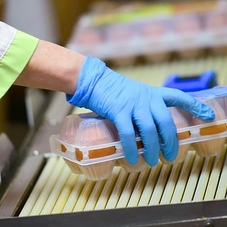 Правительство приняло решение о беспошлинном импорте яиц