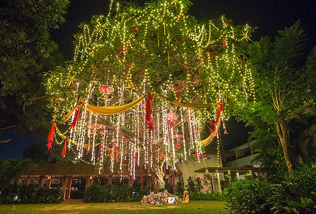 Рождественское дерево, украшенное подарками, на юге Гоа