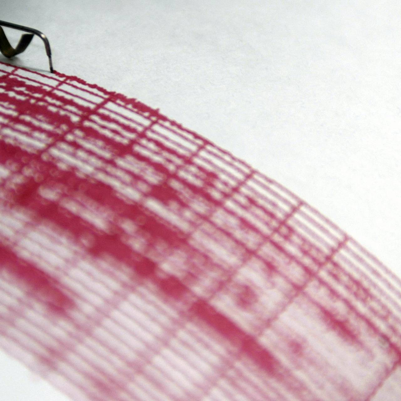 Фото: Bogdan Cristel / Reuters