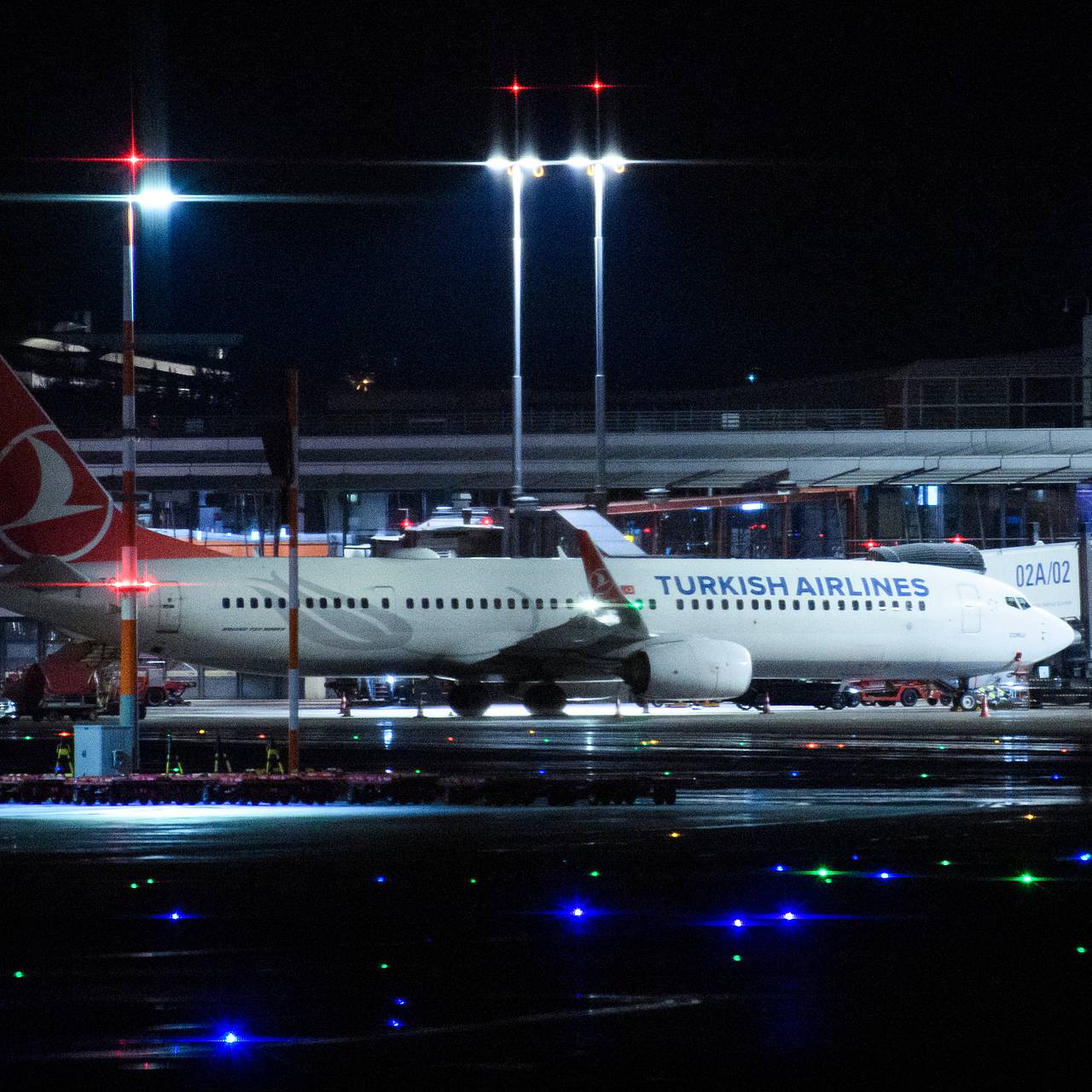 Самолет прервал взлет в турецком аэропорту из-за кошки﻿