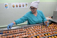 В России поставили точку в вопросе с ценами на яйца. Сколько должен стоить десяток яиц и ждать ли снижения цен? 