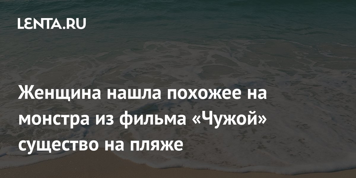 Монстр из глубин: женщина обнаружила выброшенное на берег морское 