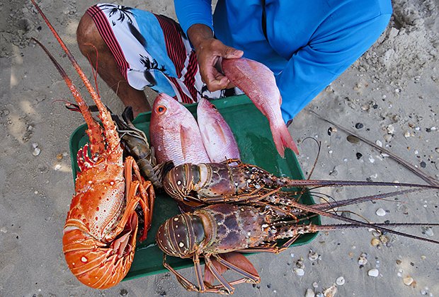 Туристы любят заказывать блюда из морепродуктов на острове