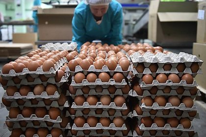 Цены на яйца в России оказались самыми низкими в мире