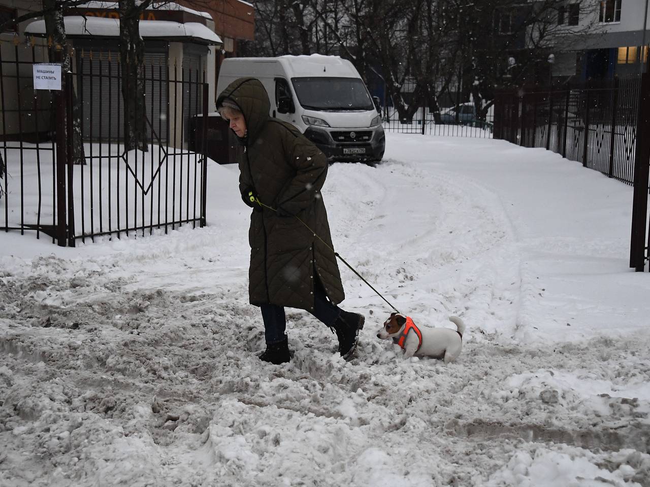 Москвичей предупредили о резком потеплении: Климат и экология: Среда  обитания: Lenta.ru