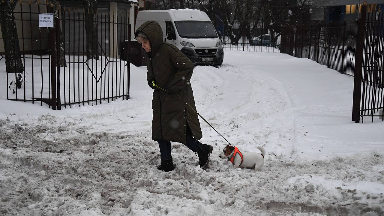 Москвичей предупредили о резком потеплении: Климат и экология: Среда  обитания: Lenta.ru