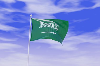 В Саудовской Аравии опровергли официальное вступление в БРИКС