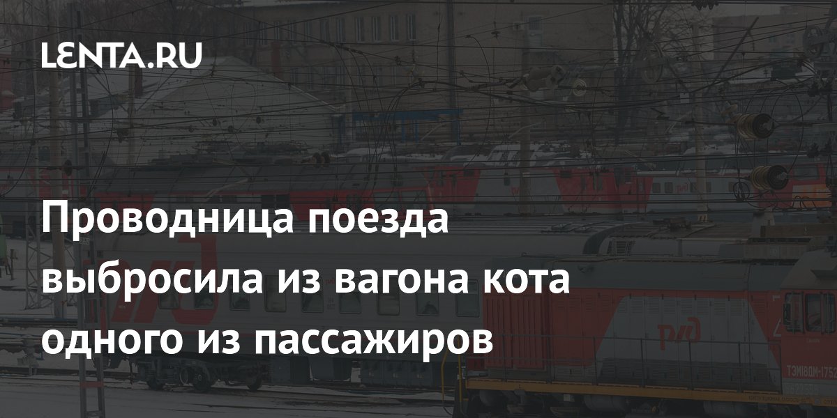 Почему кота выбросили из поезда