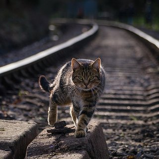 За кем была замужем Марина Федункив, кто ее муж и есть ли у нее дети - 25 августа - ру