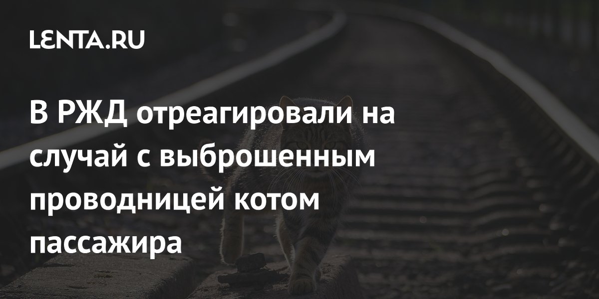 Проводница ржд которая выкинула кота