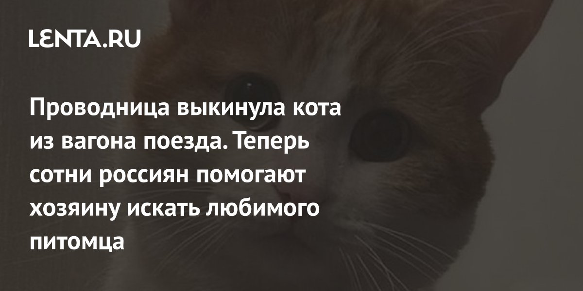 Что известно о проводнице выбросившей кота