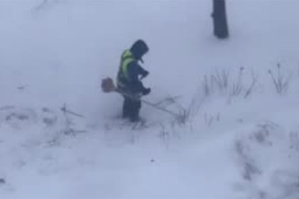 В Петербурге коммунальщик решил покосить снег