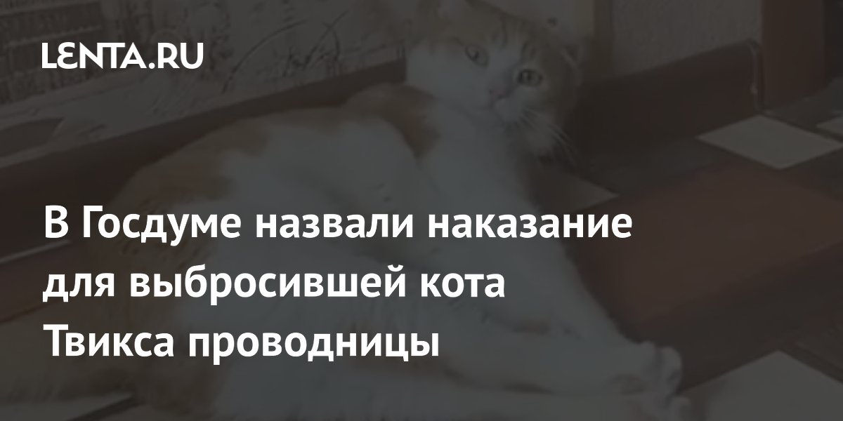 История кота твикса которого выкинули