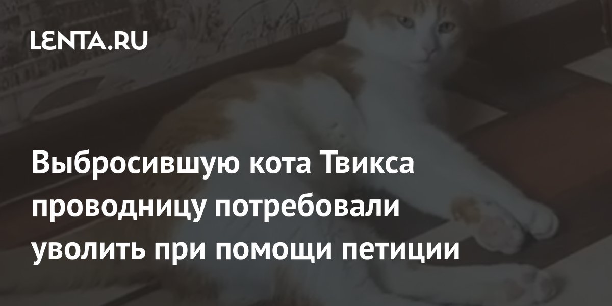 Петиция коту твиксу