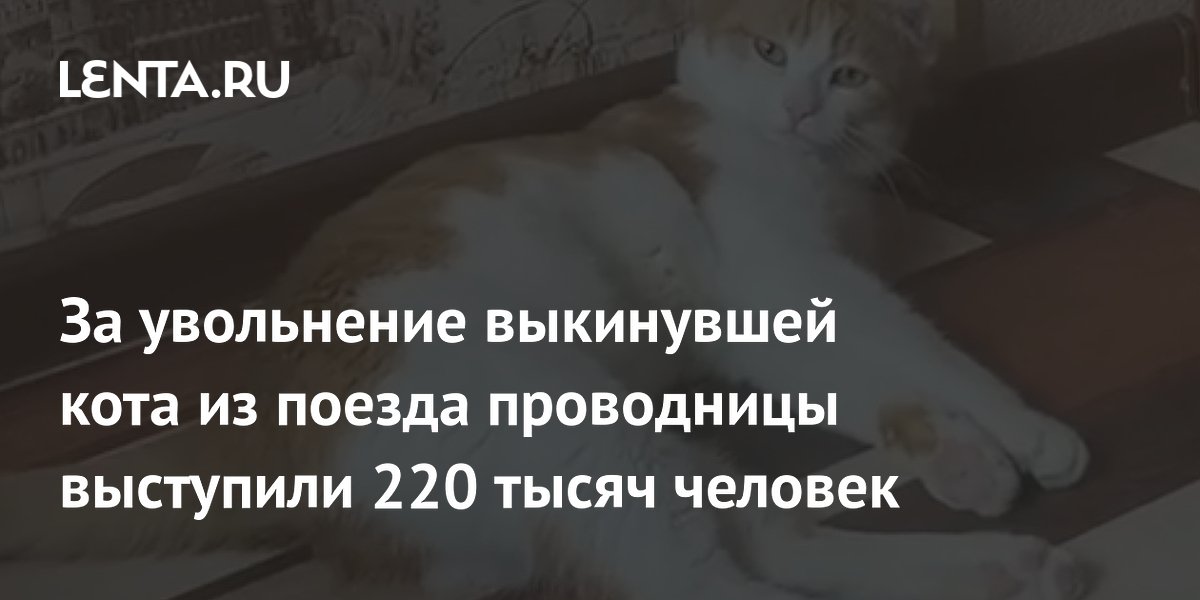 Где выбросили кота из поезда