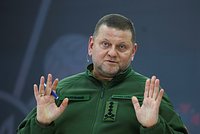 На Украине увидели признаки скорой отставки Залужного. Почему Зеленский хочет убрать главкома ВСУ? 