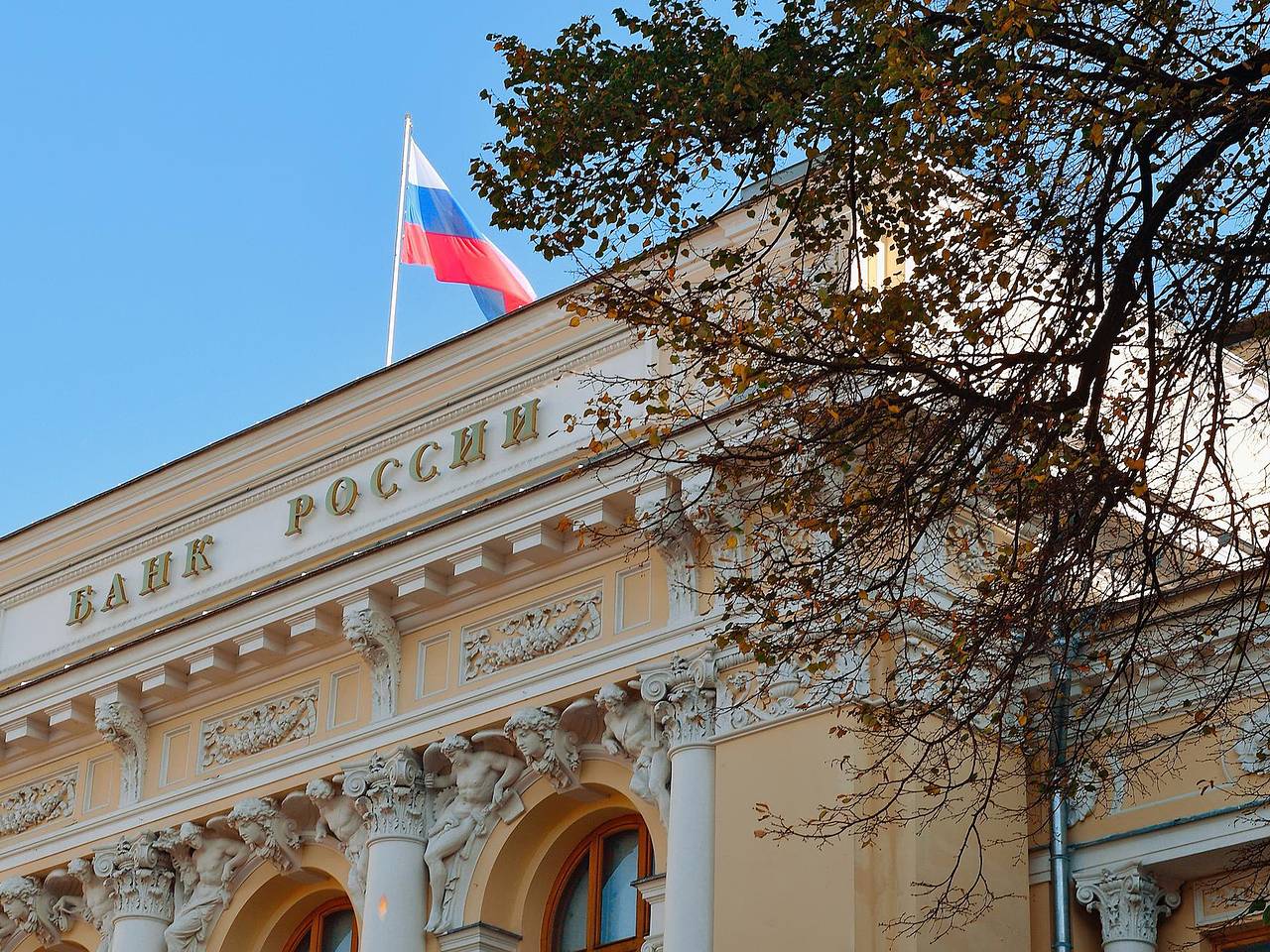 Рост