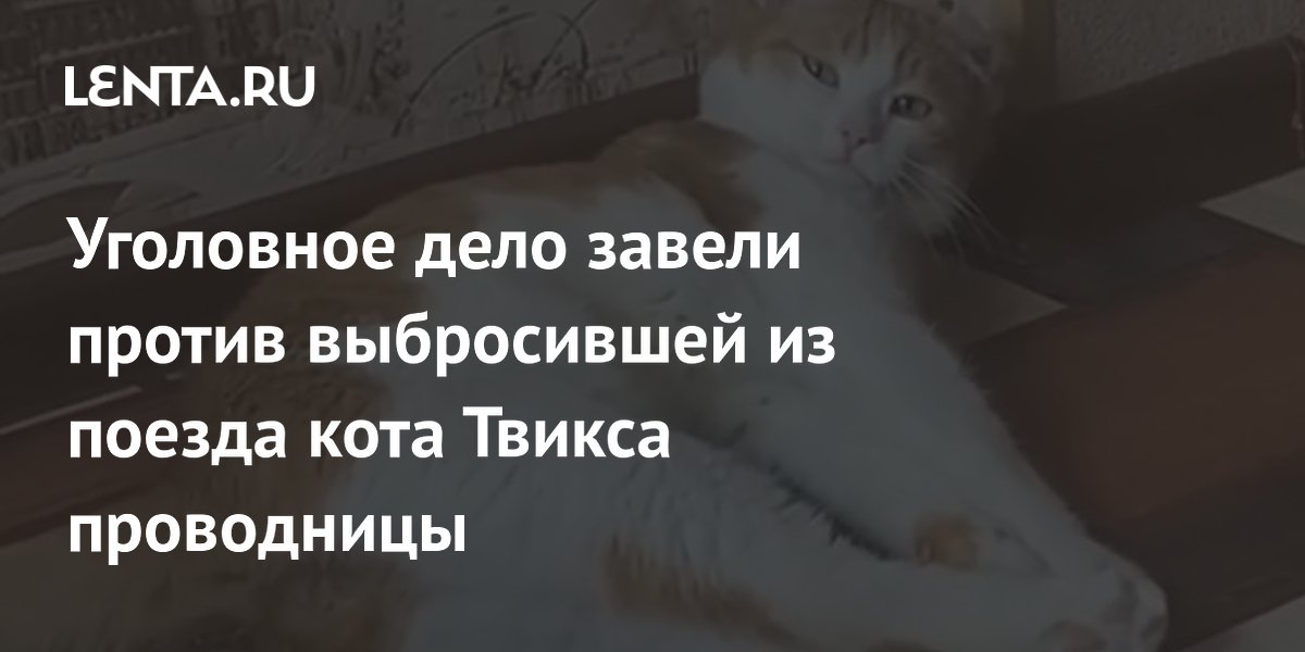 История кота твикса выброшенного из поезда