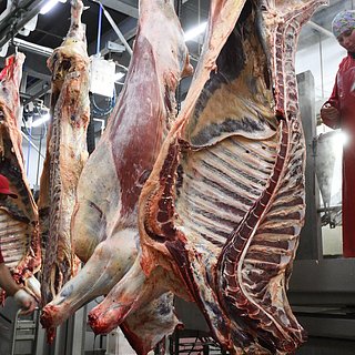 Американское искусственное мясо захватывает азиатский рынок