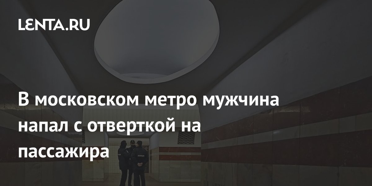 В московском метро мужчина напал с отверткой на пассажира: Следствие и ...