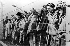 «Освенцим освободила именно Красная армия». Главу Еврокомиссии обвинили в попытке переписать историю
