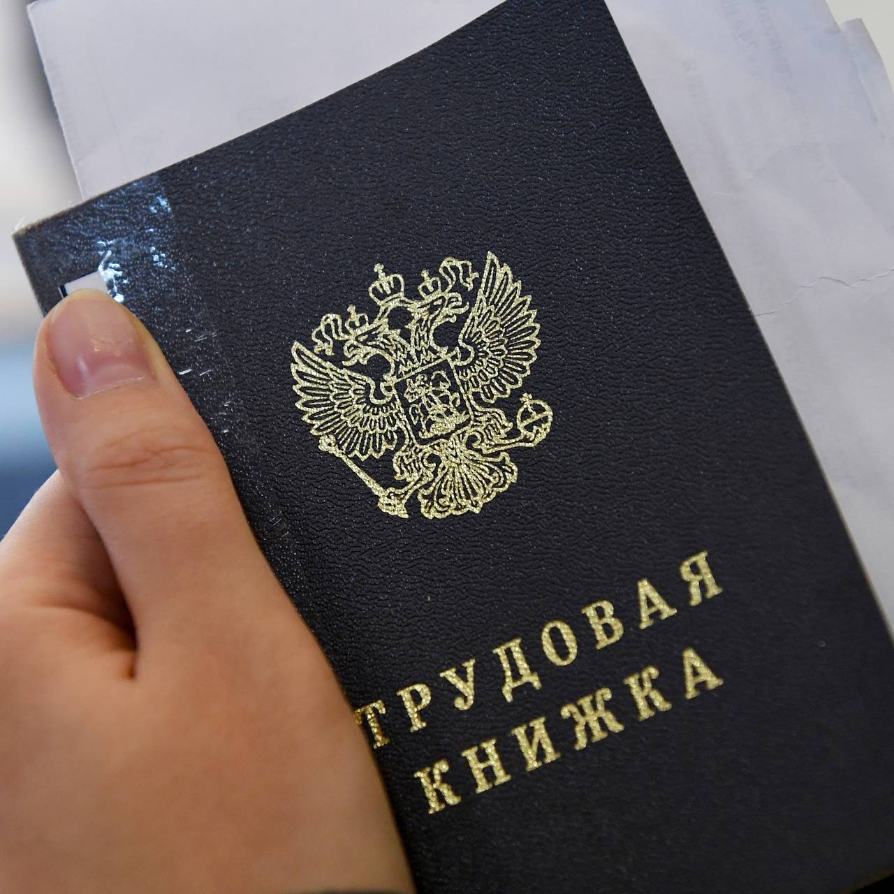 Должности в налоговой. Устроиться на работу в налоговую. Начальник сочи налоговая инспекция. Женщина за столом в офисе. Устроиться на работу в налоговую.