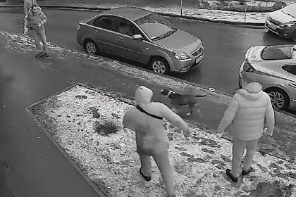 В российском городе пятеро мужчин попытались отбить девочку у бойцовской собаки