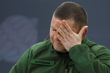 Депутат Рады подтвердил данные об увольнении Залужного