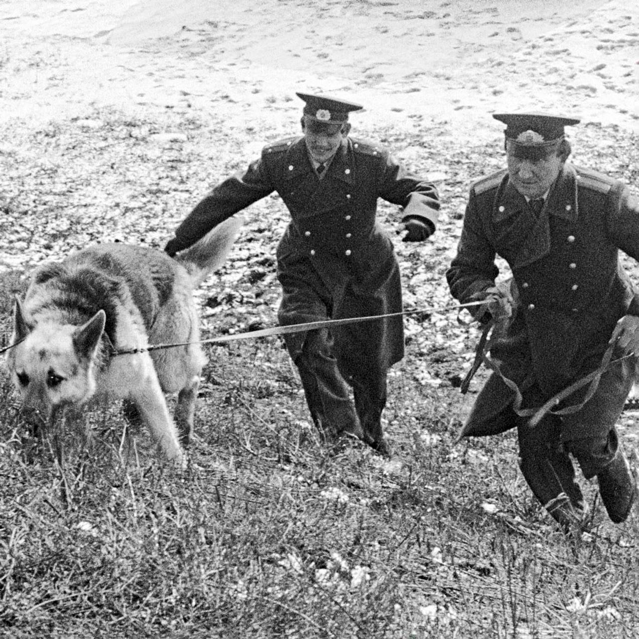 60 лет назад в СССР еврейскую семью убили ради шкатулки с сокровищами.  Почему об этом преступлении заговорил весь мир?: Преступная Россия: Силовые  структуры: Lenta.ru