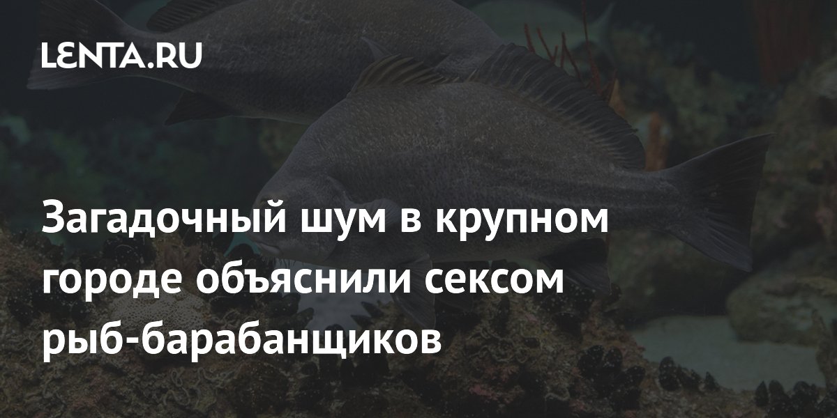 Гороскоп с 10 по 16 апреля: Рыбы променяют секс на выставку, а Водолеям не избежать слухов