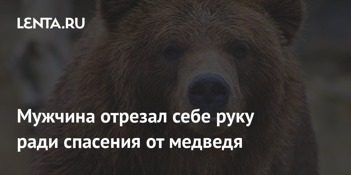 «К чему снится, что вырвал себе зуб?» — Яндекс Кью