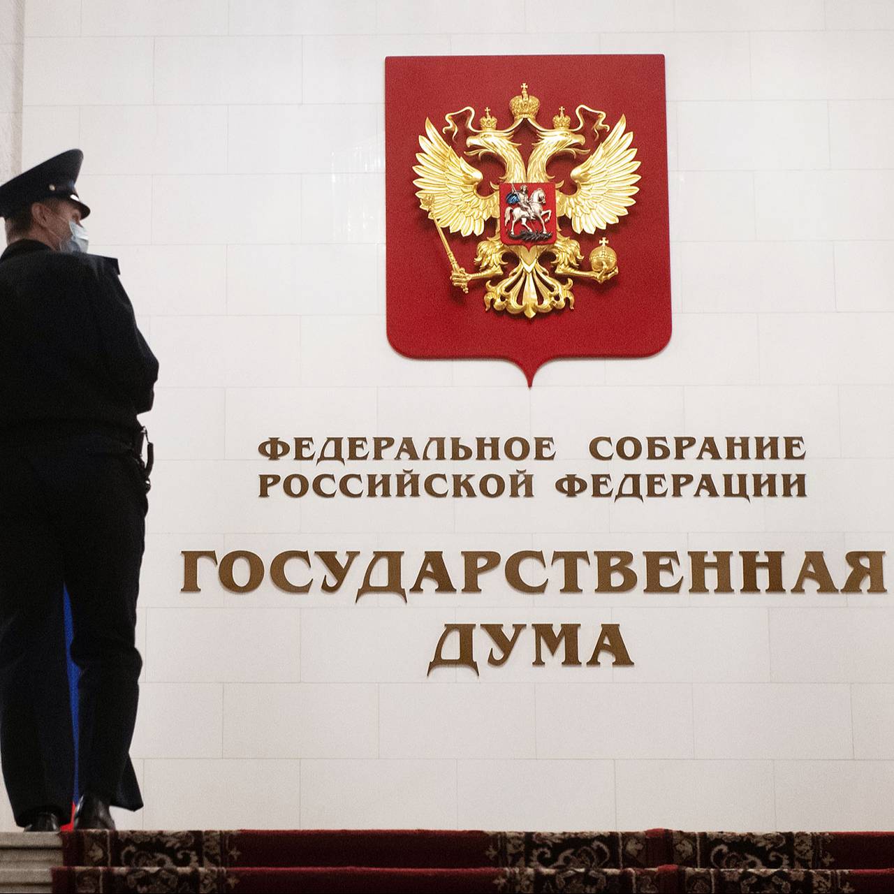 Госдума о содержании детей до 23 лет. Неприкосновенность депутатов государственной думы. Государственная дума. Госдума о содержании детей до 23 лет. Заработная плата депутата государственной думы.